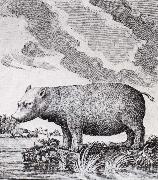 unknow artist hippopotamus,flodhasten eller sjokon,som den ocksa kallades painting